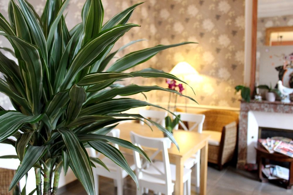 Hotel Les Aubepines Illiers-Combray Екстериор снимка